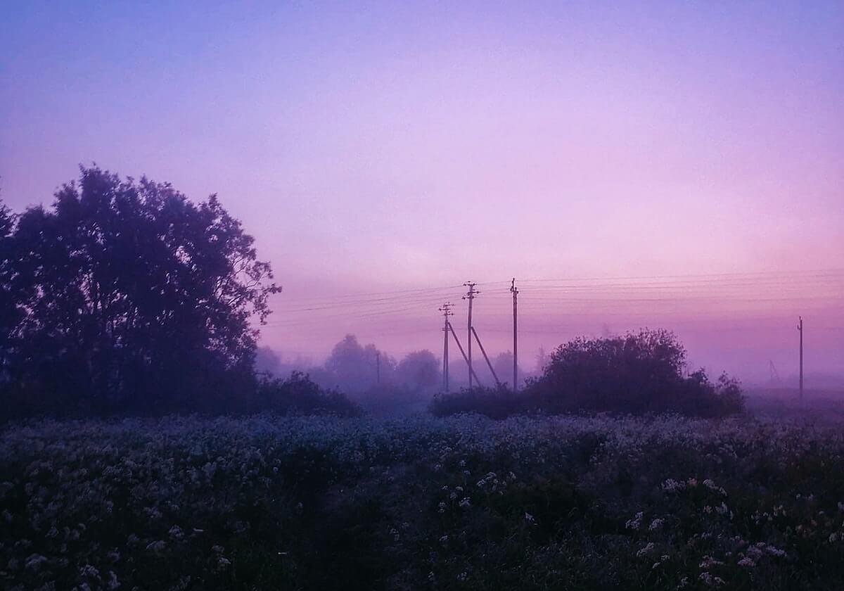 黑料网今日 — 周末片单推荐
