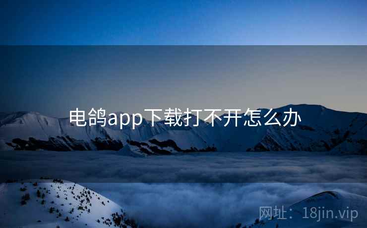 电鸽app下载打不开怎么办