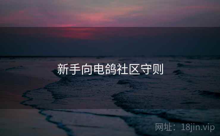 新手向电鸽社区守则