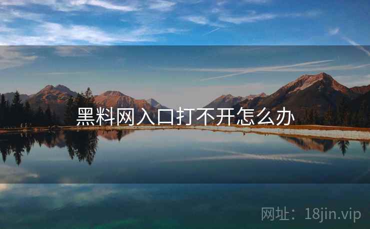 黑料网入口打不开怎么办