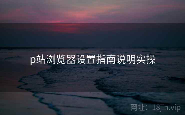 p站浏览器设置指南说明实操