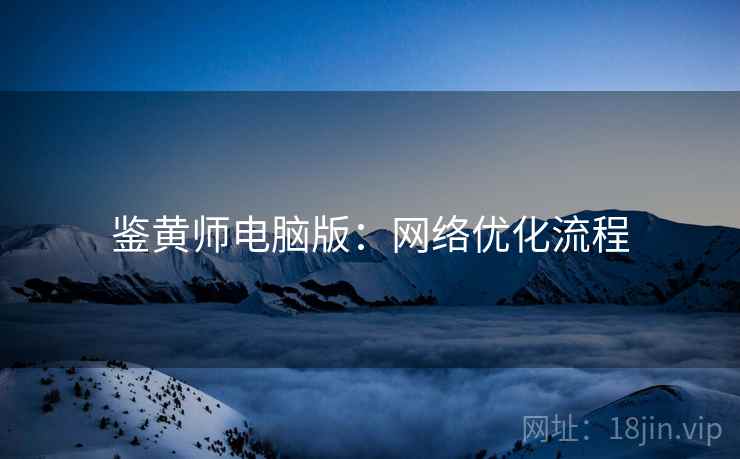 鉴黄师电脑版：网络优化流程