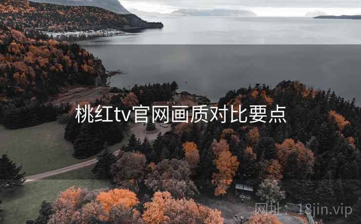 桃红tv官网画质对比要点